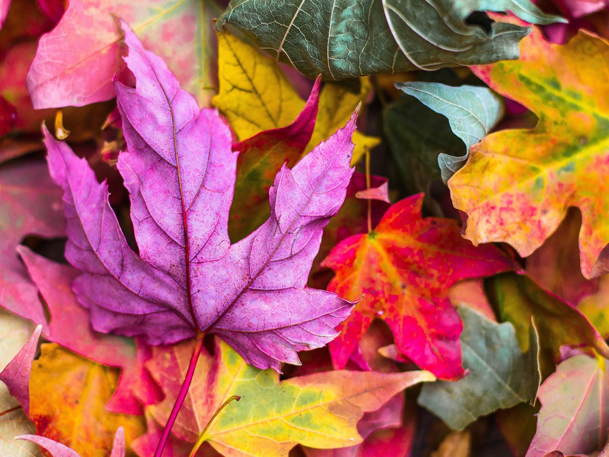 Lasciar andare, eliminare il superfluo, capire   cosa è&nbsp;essenziale